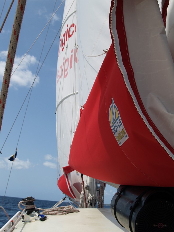 P4209858.JPG
