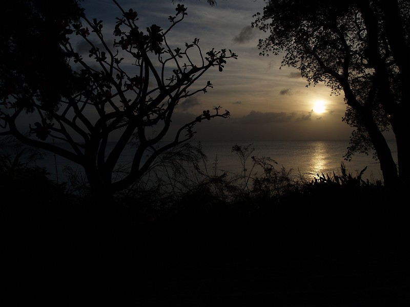 P4229965.JPG