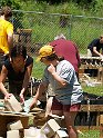 P7043251