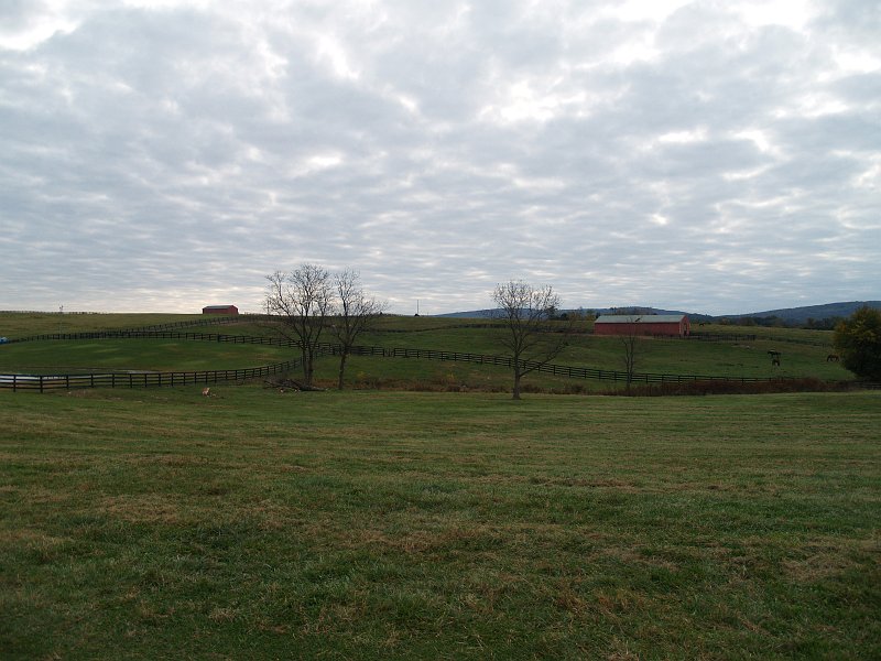 PA181332.JPG